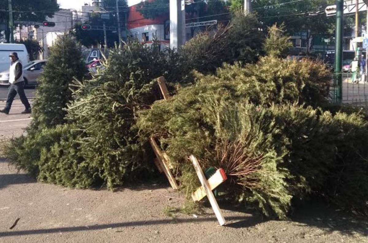 Segundo uso para la siguiente Navidad, si lo dejas secar puedes darle otra vida pintándolo y creando un árbol nuevo.