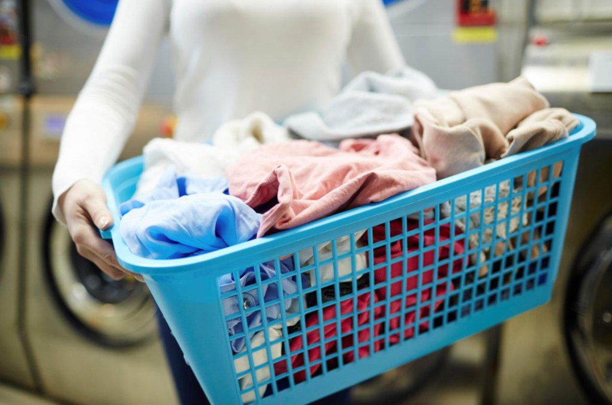 3. Conocer qué productos usar.