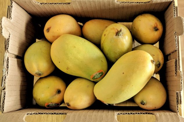 Cómo conservar mangos por más tiempo, sin que se pongan negros o aguados