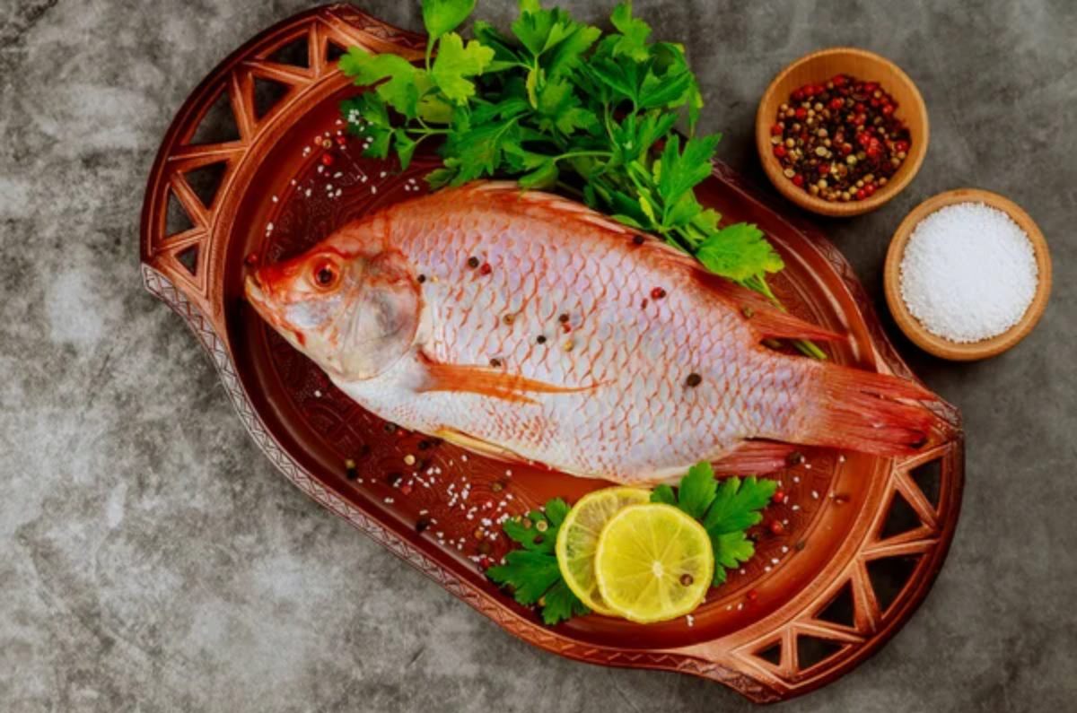 PIEL, ESCAMAS Y CARNE