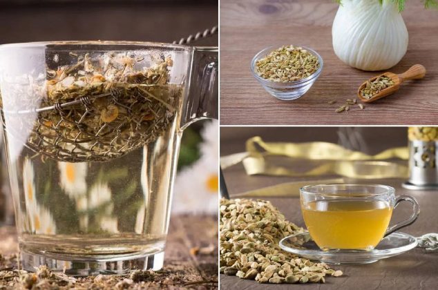 Té o infusión de hinojo: qué es, beneficios y cómo preparar en casa