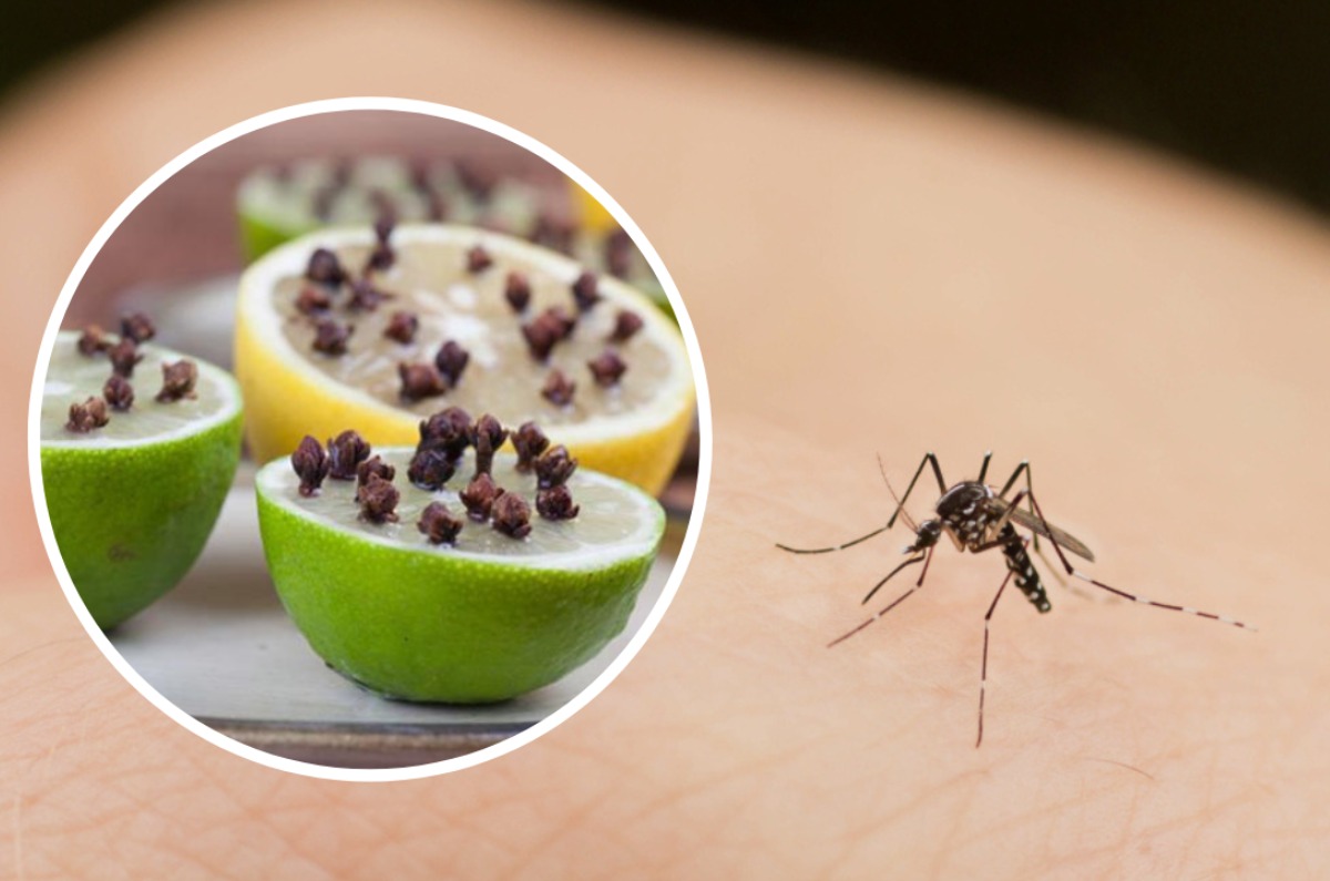 3. Utilice luces LED