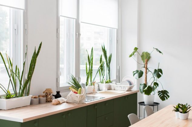 6 plantas de interior para un aire más puro en tu cocina y casa