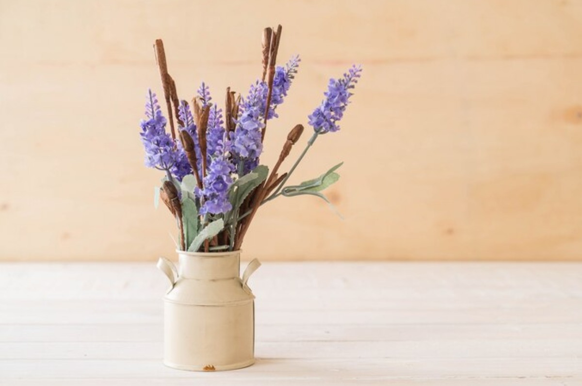 La lavanda y citronela son plantas repelentes de mosquitos