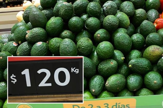 Este es el precio real de un kilo de aguacate según Profeco