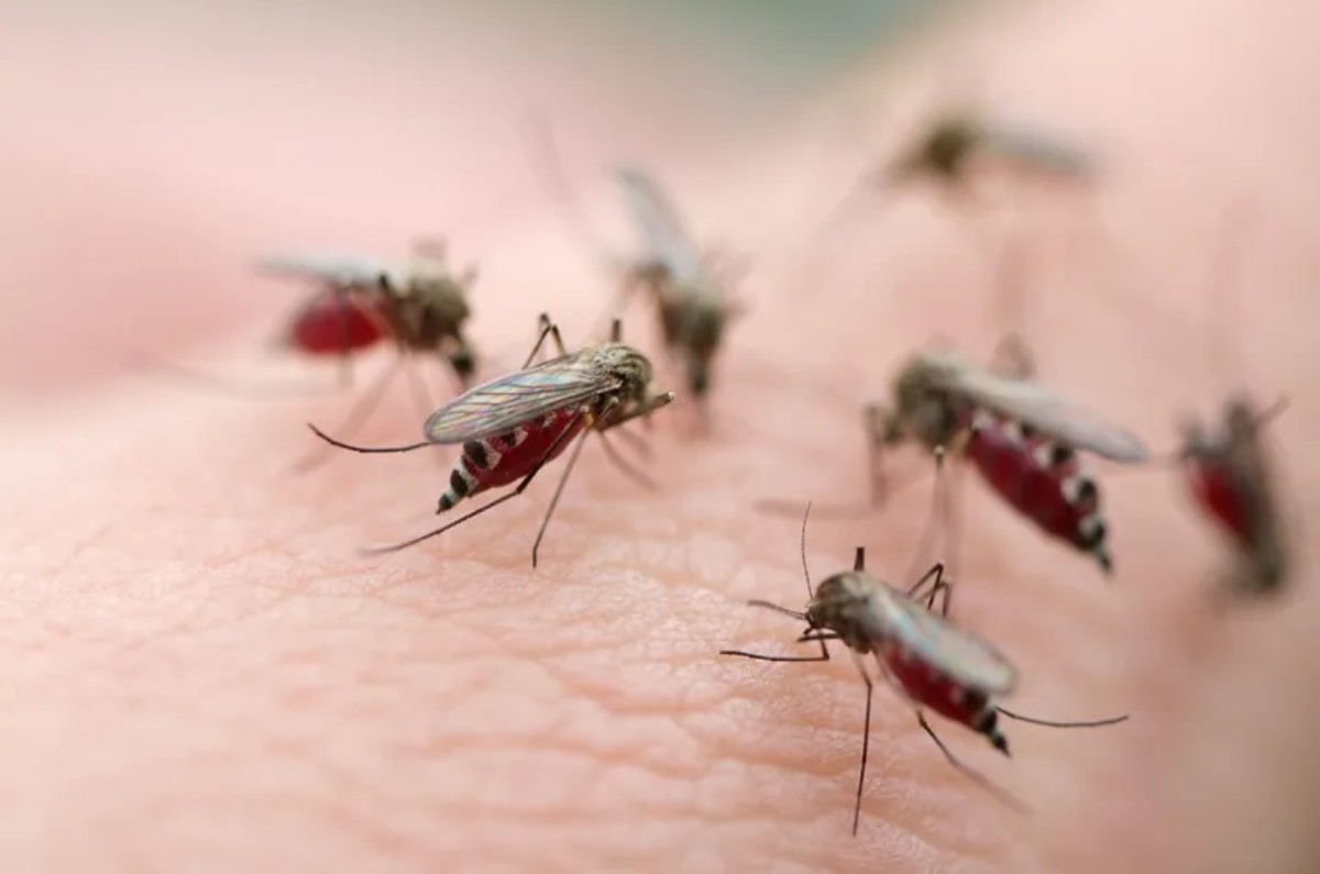 8. Velas de citronela