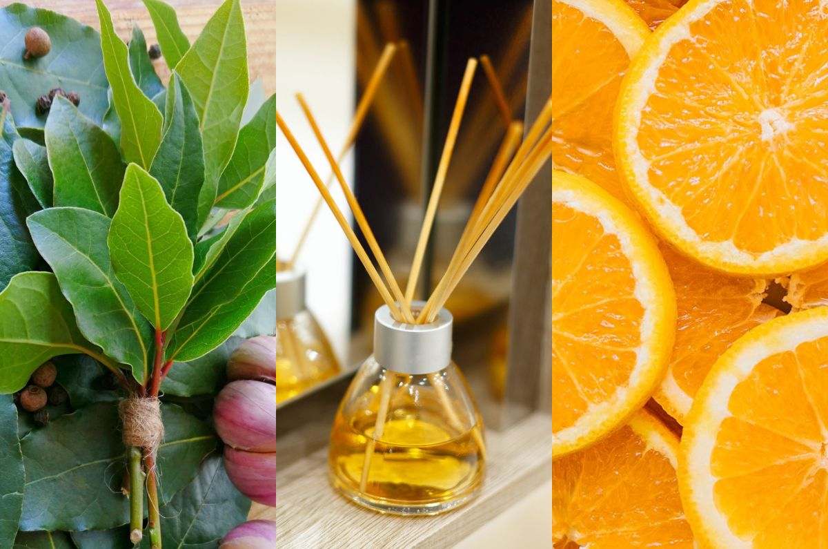 5 aromatizantes que te ayudarán a perfumar y eliminar malos olores