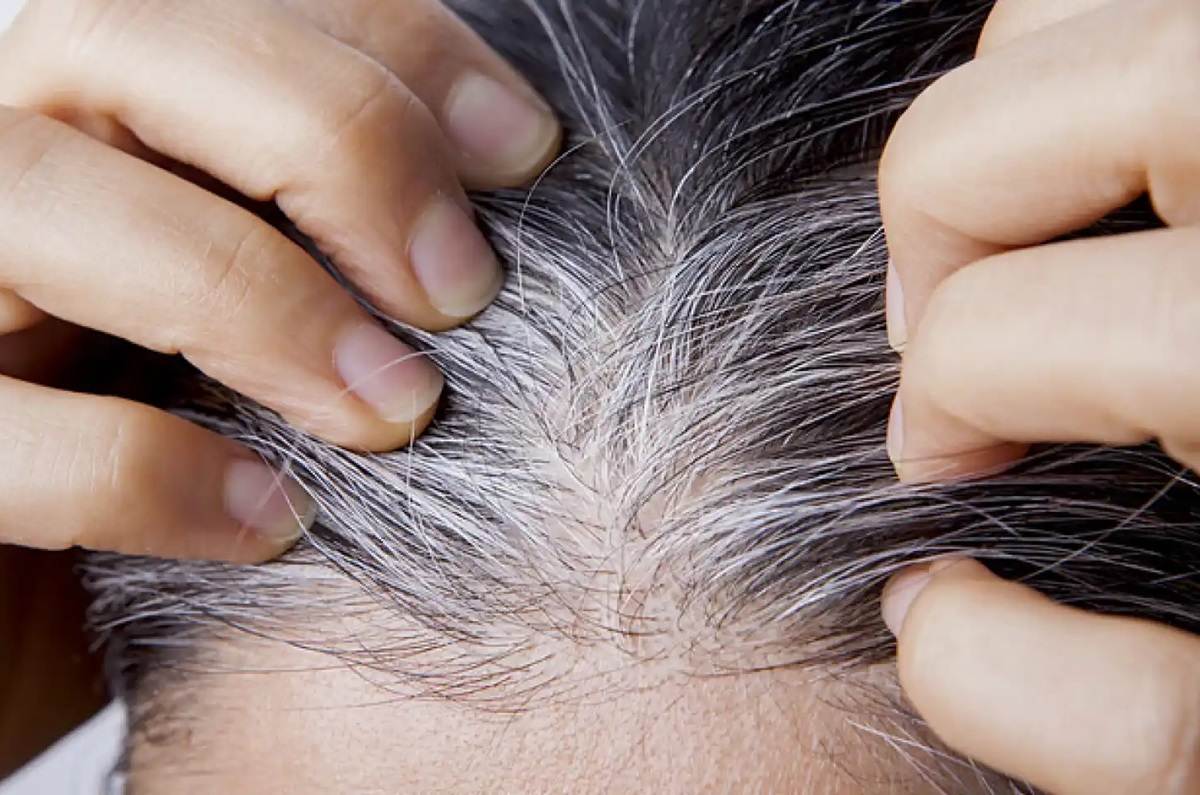 Aprende cómo disimular las canas con canela y miel