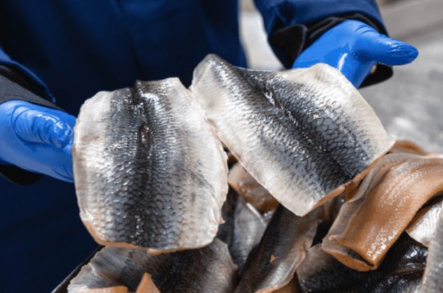 ¿Es malo comer la piel del pescado? Descubre los riesgos y beneficios