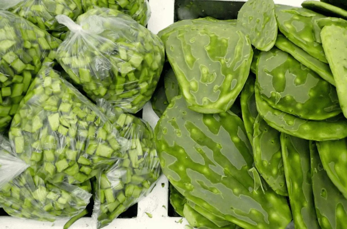 cómo guardar nopales