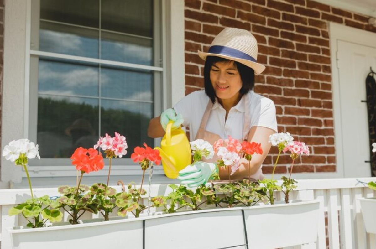 Flores de sol para poner en balcón, terraza o jardín, guía para principiantes