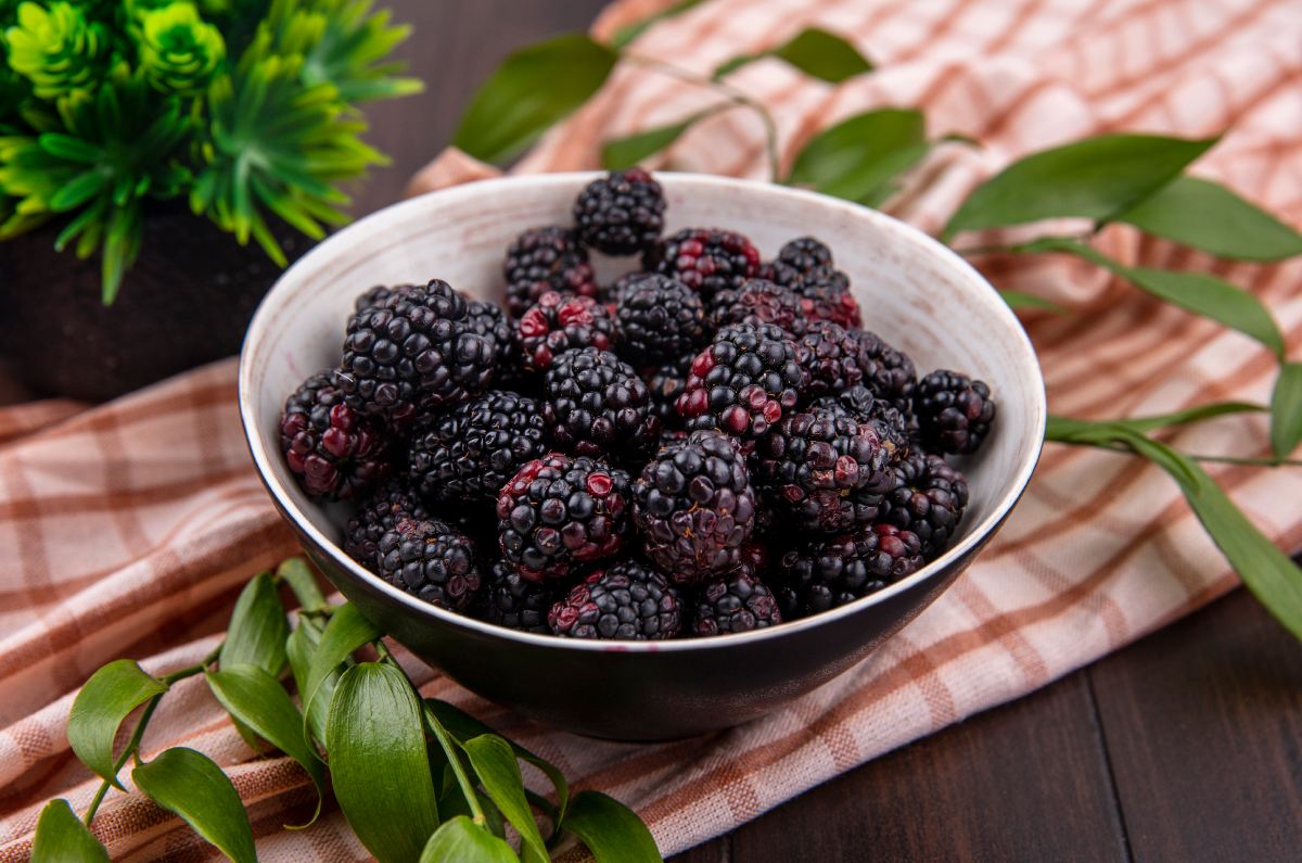 Descubre los beneficios de las moras para una vida más saludable 0