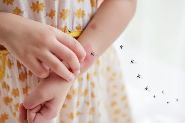 8 sencillas formas para ahuyentar mosquitos en la noche