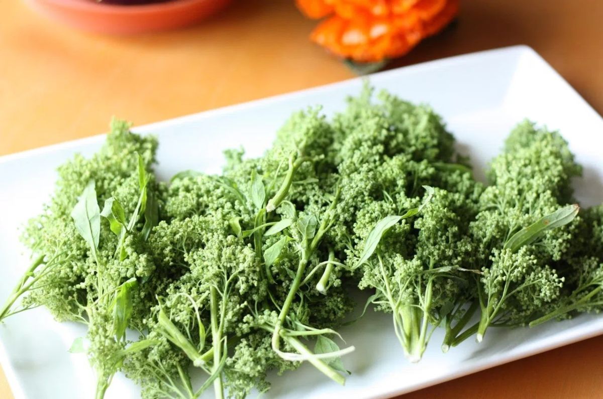 Propiedades antioxidantes y antiinflamatorias