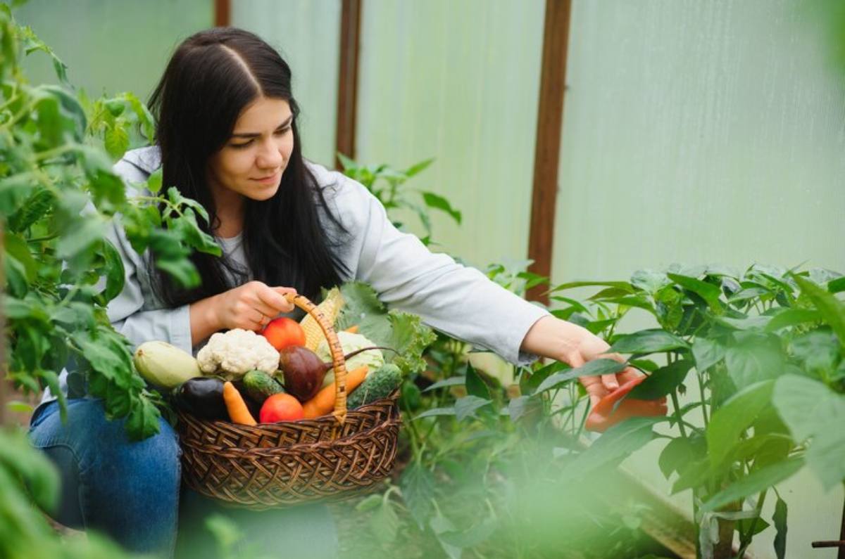 10 verduras que puedes cultivar en casa durante todo el año 0