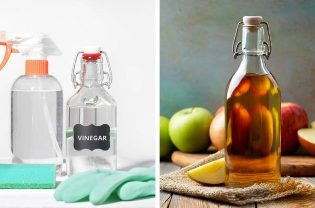 Conoce las 5 diferencias entre vinagre blanco y vinagre de manzana