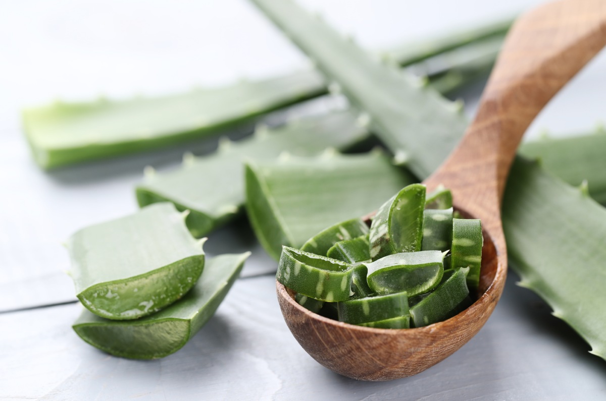 Cómo hacer cubos de hielo de aloe vera y cuáles son sus beneficios para la cara 0