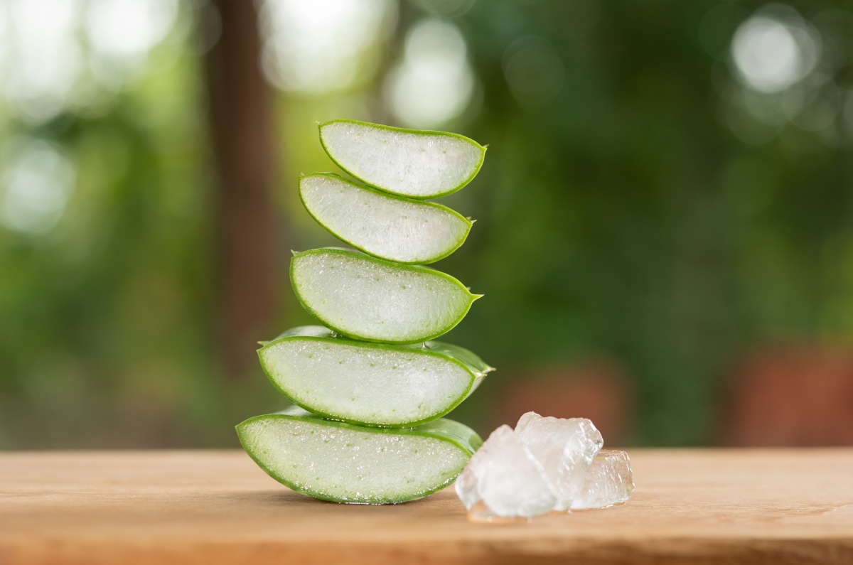 cubos de hielo de aloe vera