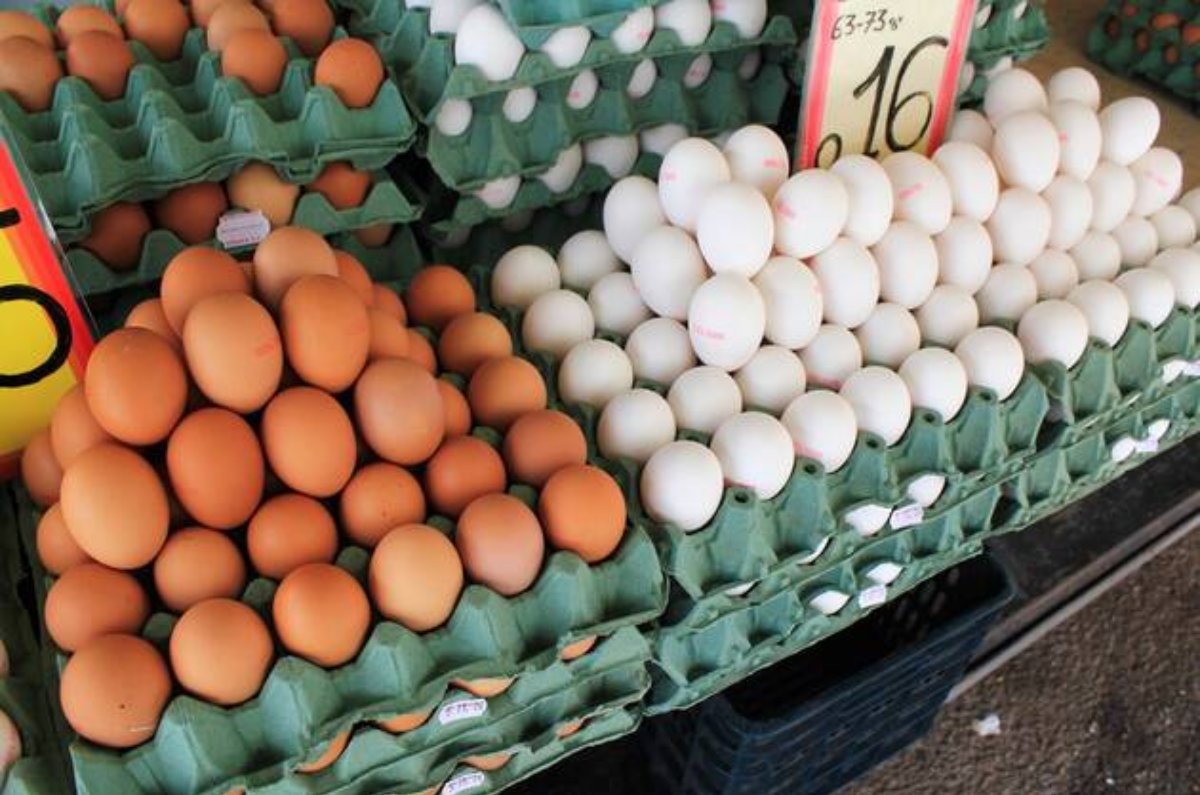 aumento en el precio del huevo