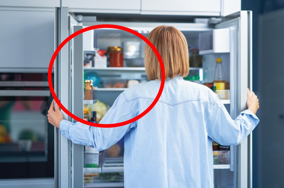 botón secreto del refrigerador