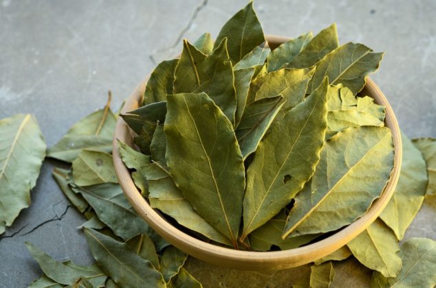 Cómo preparar insecticida casero con laurel para cuidar tus plantas