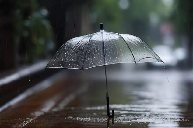 Truco viral para llevar un paraguas en la lluvia ¡Sin sujetarlo con las manos!