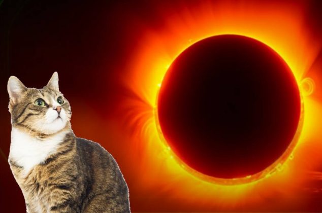 Estos son 6 mitos y realidades del eclipse solar 2024 que debes saber