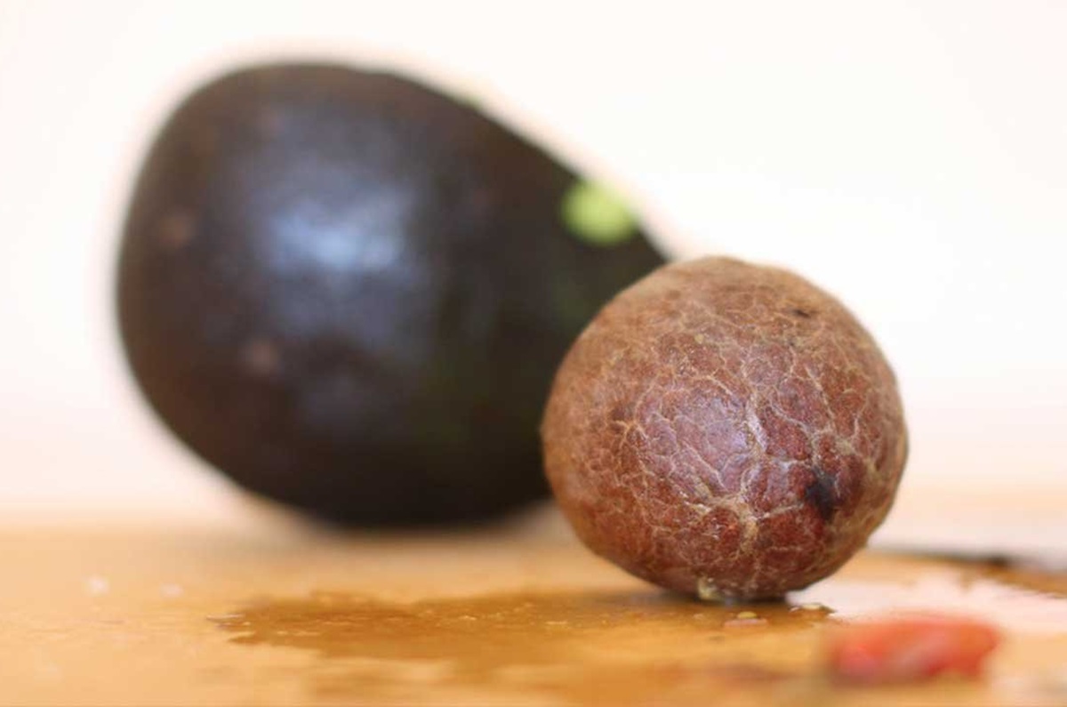 descubre todo lo que puedes hacer con un hueso de aguacate