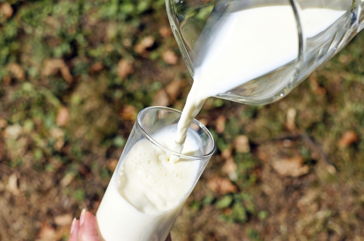 leche con más proteína 
