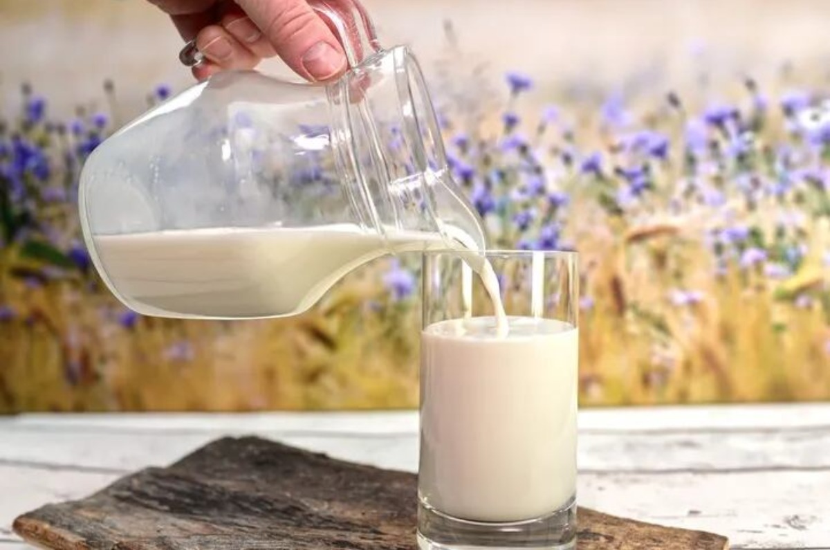 leche con más proteína 