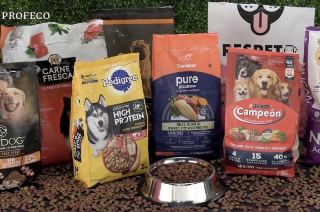 Casi nadie las compra, pero estas son las croquetas mexicanas con más proteína, según Profeco