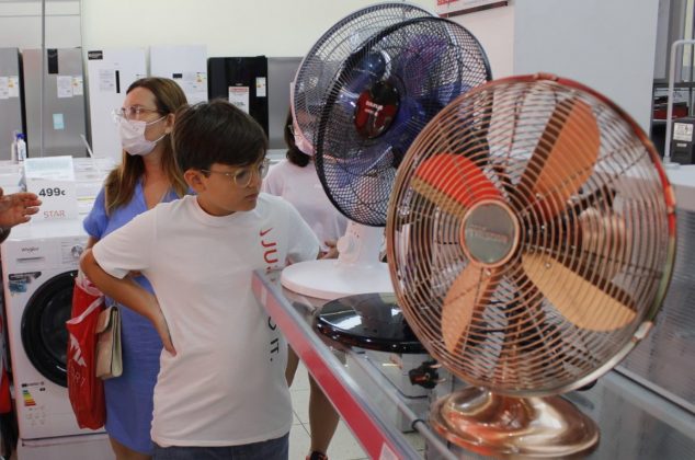 Casi nadie los compra, estos son los mejores y más baratos ventiladores, según Profeco