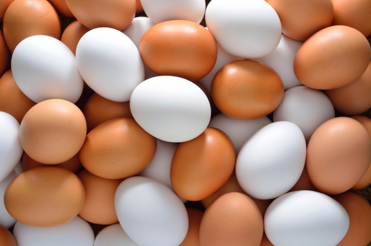 Los huevos rojos NO contienen más nutrientes que los blancos