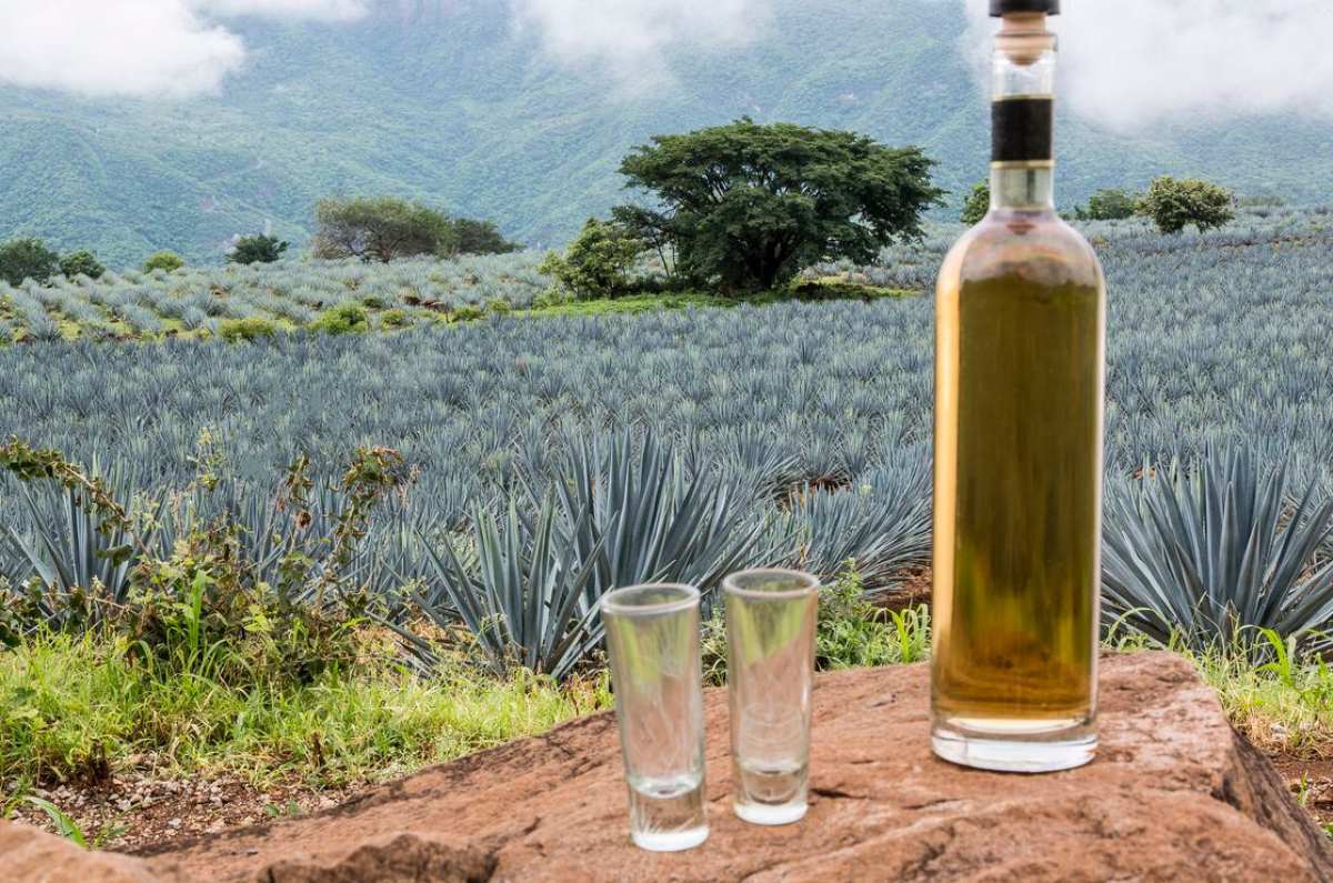 qué es tequila