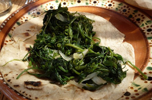 TACOS DE QUELITES CON QUESO
