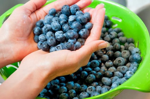 ¿Cómo almacenar arándanos? 4 métodos para que duren más y no se pudran rápidamente