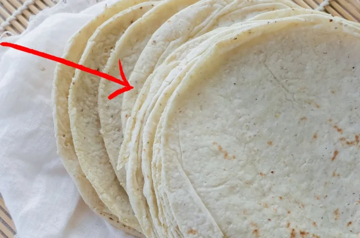 tortillas echadas a perder