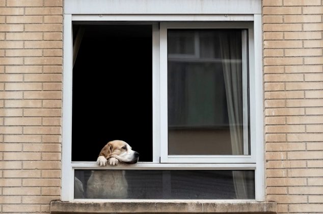 ¡Adiós aire acondicionado! Estas nuevas ventanas reducen el calor y se limpian solas