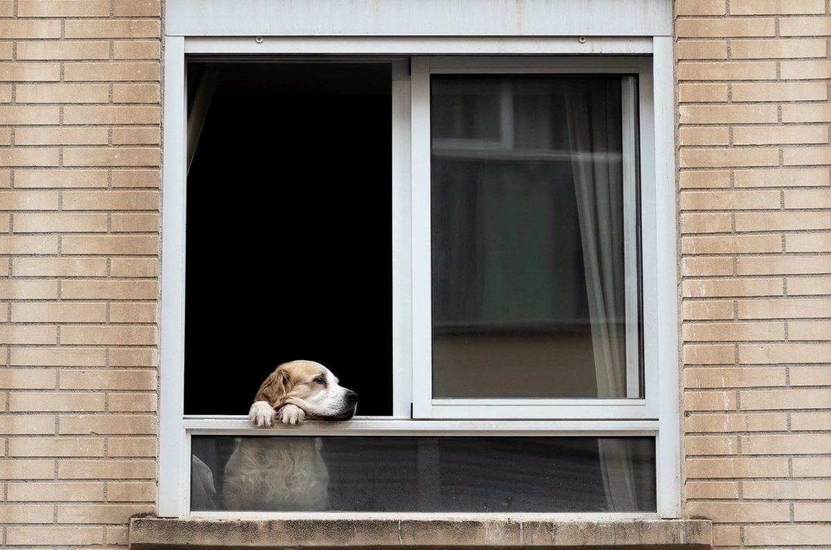 nuevas ventanas reducen el calor