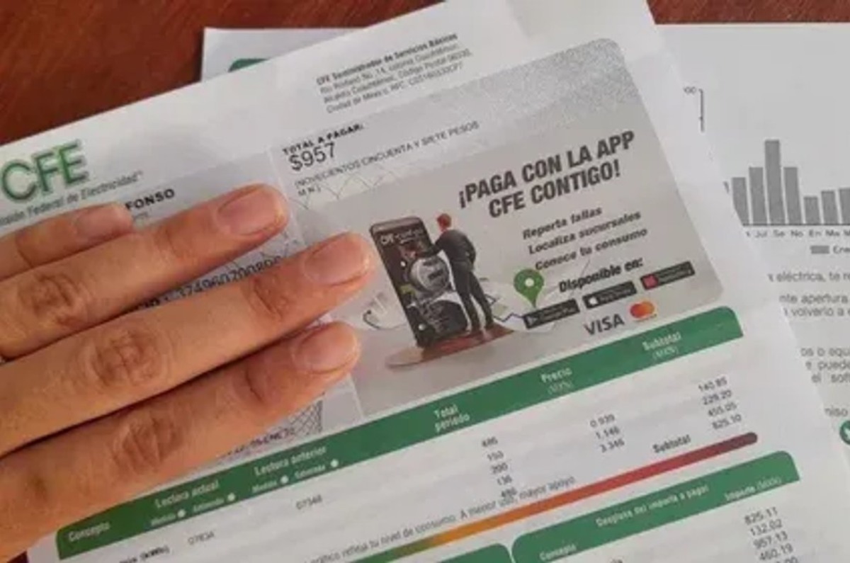 cfe pago de luz atrasado