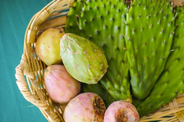 Por qué es bueno comer tuna: beneficios y propiedades para la salud