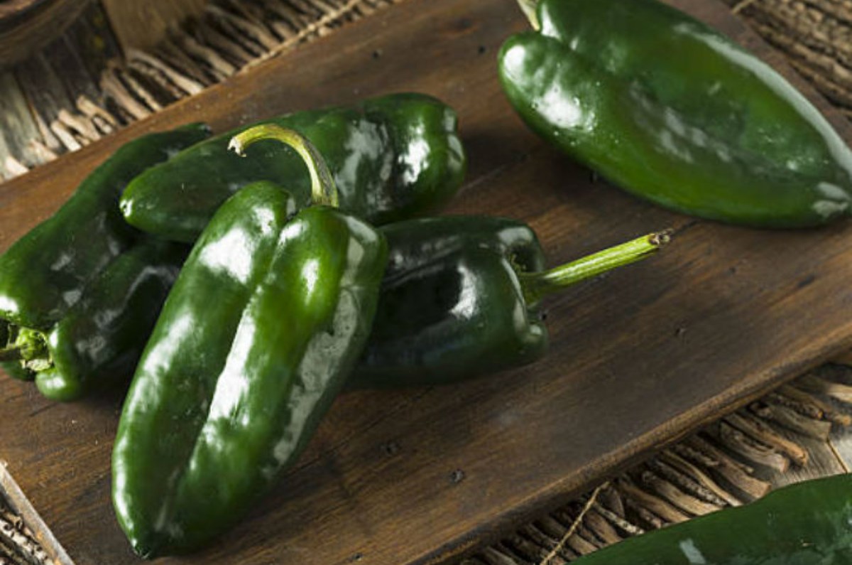 chiles poblanos 