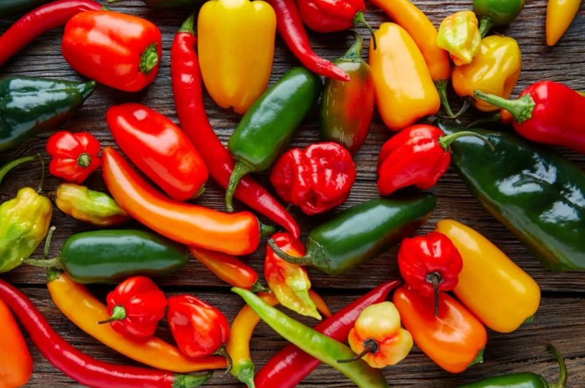 tipos de chiles en mexico