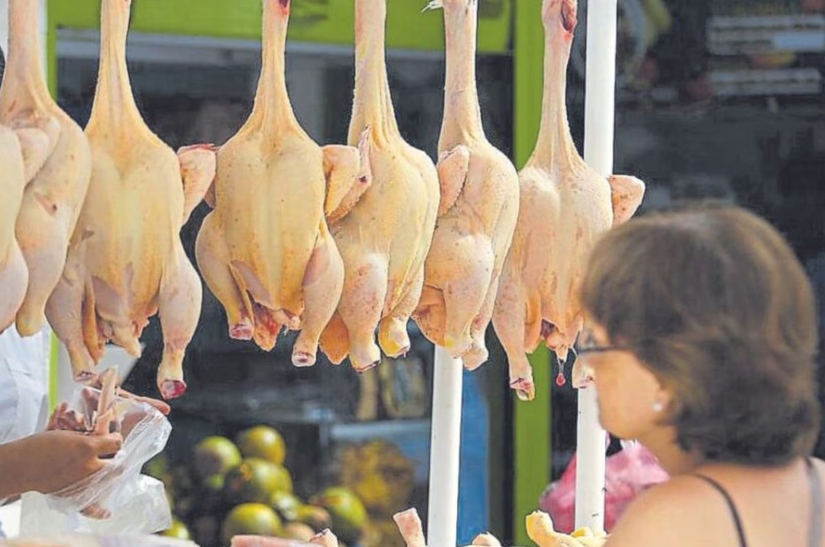 cocinar pollo