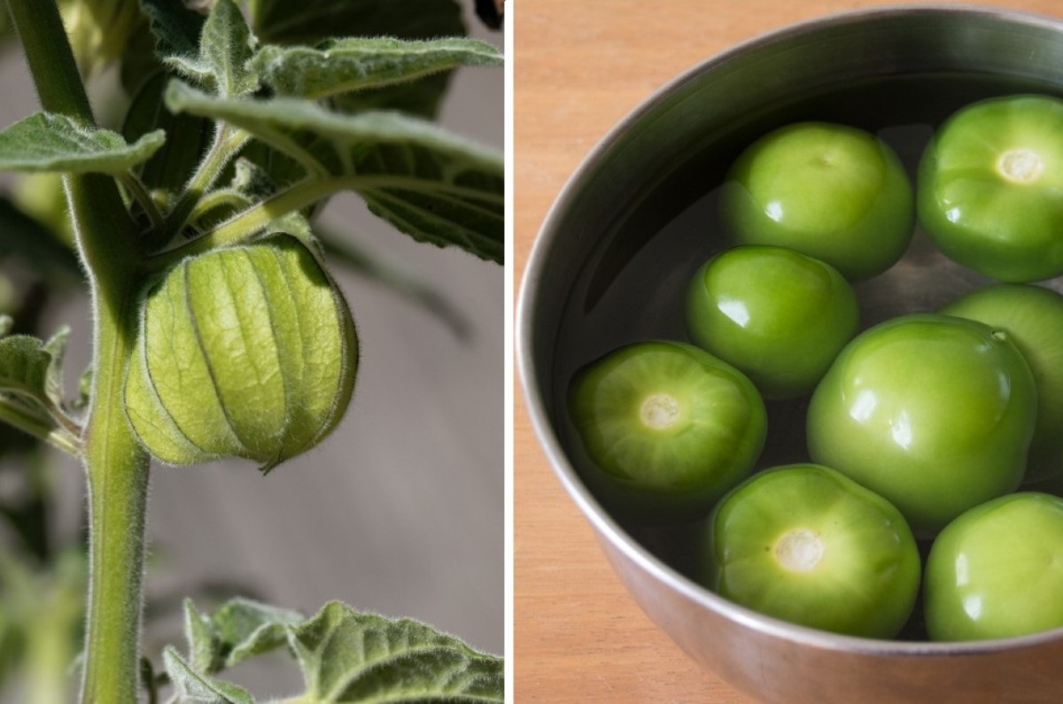 tips para cocer tomates verdes