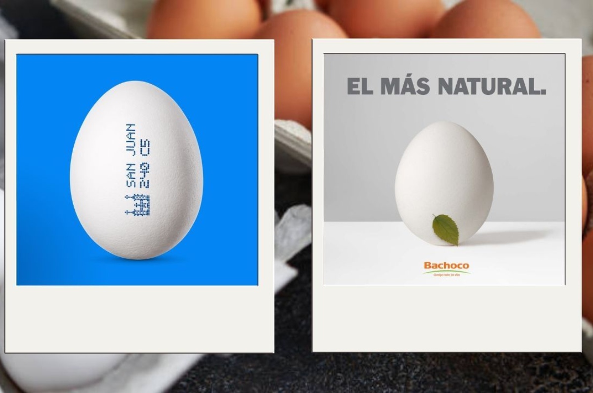 diferencias entre huevo San Juan o Bachoco