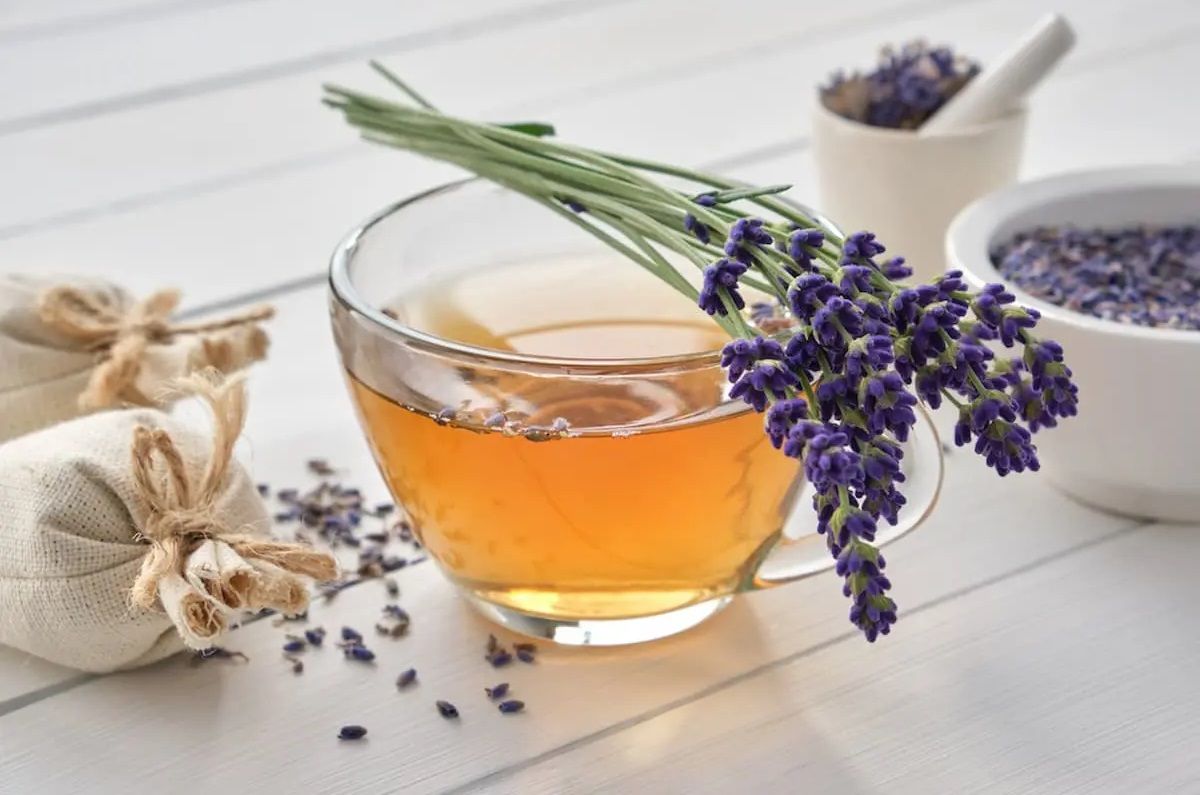 Infusión de lavanda