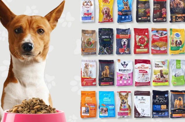 Nadie las compra, pero estas son las mejores croquetas para perro según Profeco