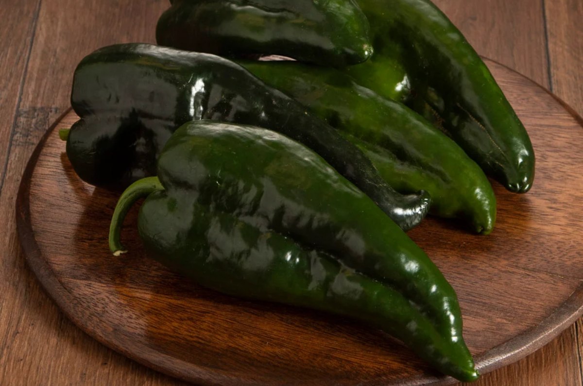 cómo distinguir chiles poblanos mexicanos