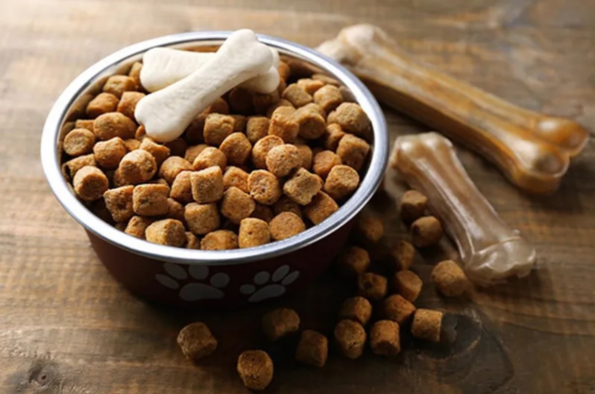 croquetas de perro